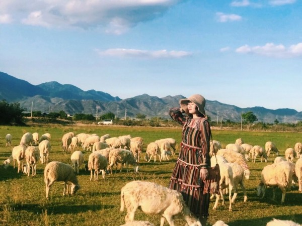 HÀ NỘI - NHA TRANG - NINH THUẬN